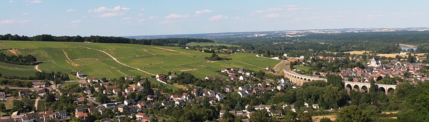 vinice - loire - francie